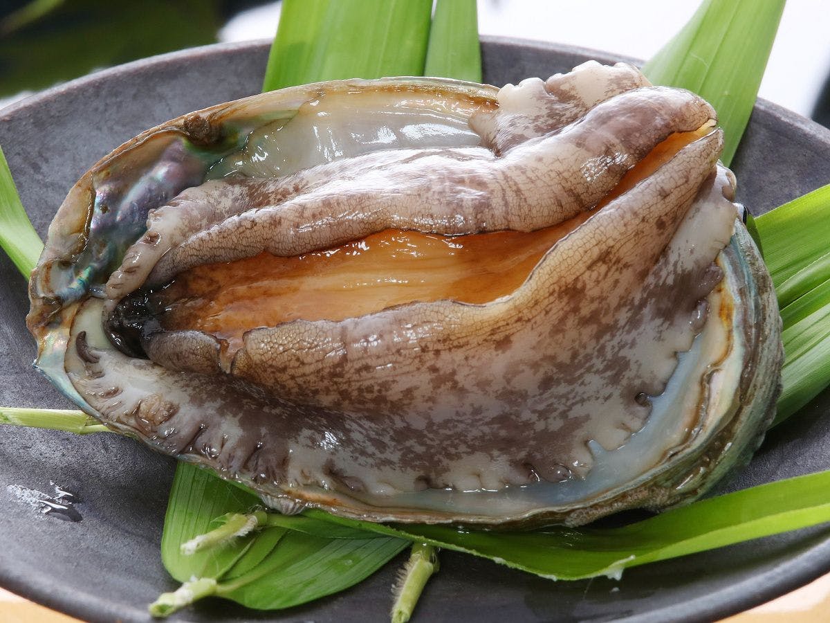 Taisenkaku