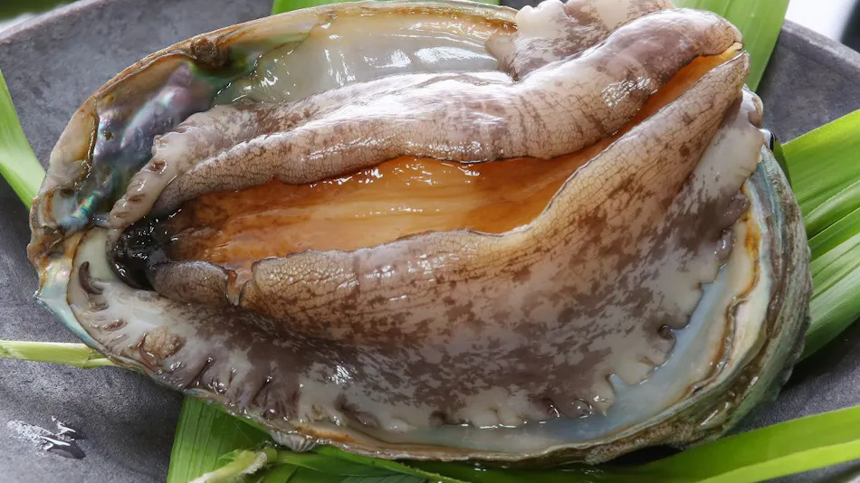 Taisenkaku
