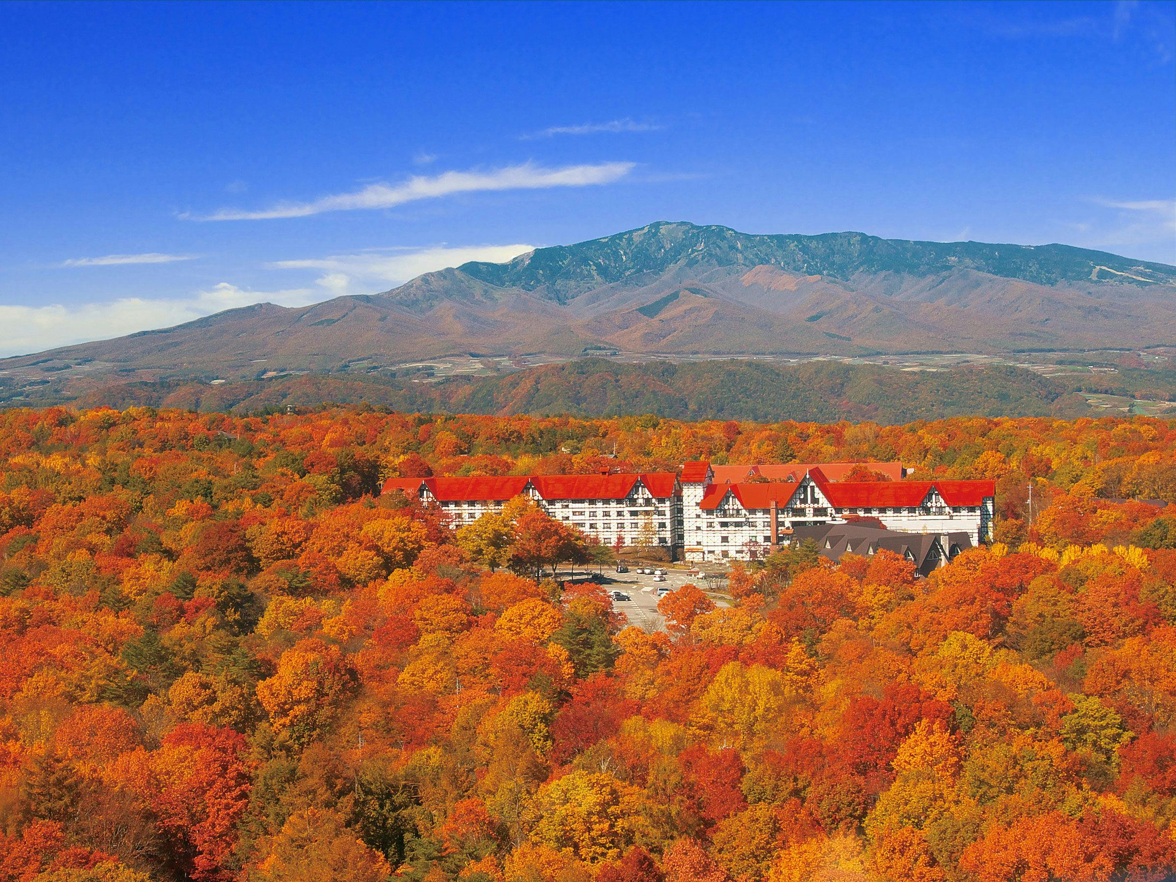 Hotel Green Plaza Karuizawa
