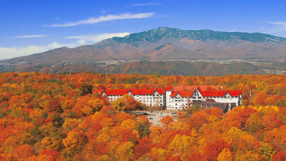 Hotel Green Plaza Karuizawa