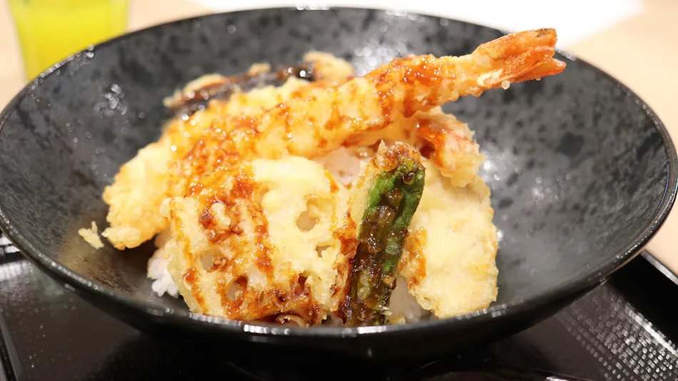 Castle Inn Toyokawa