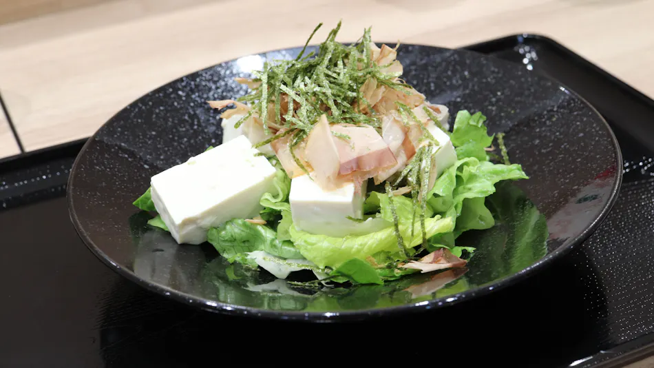 Castle Inn Toyokawa