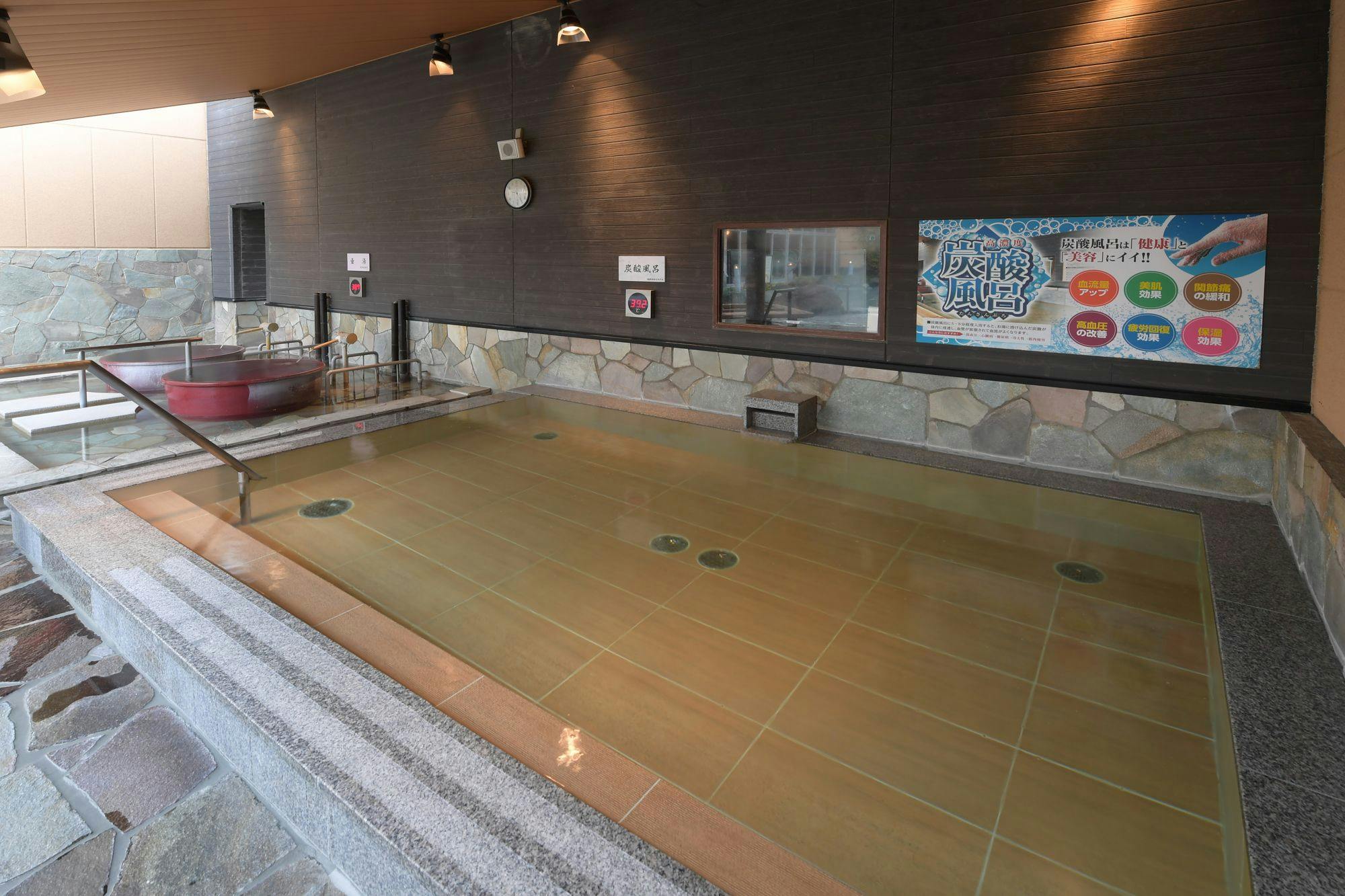Castle Inn Toyokawa