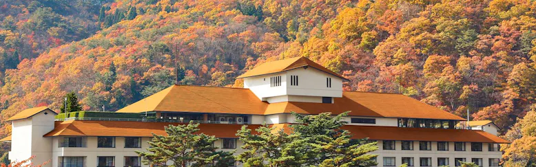 クチコミ 評判 花巻温泉ホテル紅葉館 Yahoo トラベル クチコミ 評判 花巻温泉ホテル紅葉館 Yahoo トラベル