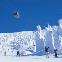 ไปยังทุ่งน้ำแข็งด้วยกระเช้าไฟฟ้า