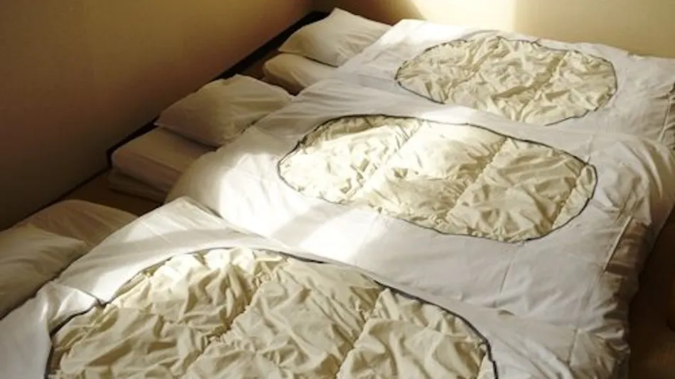 Hotel Select Inn Tsuruga