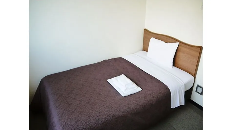 Hotel Select Inn Tsuruga