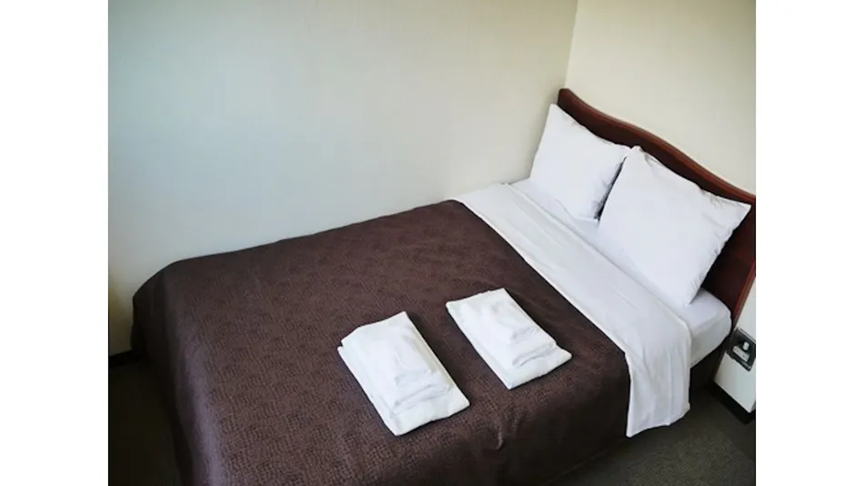 Hotel Select Inn Tsuruga