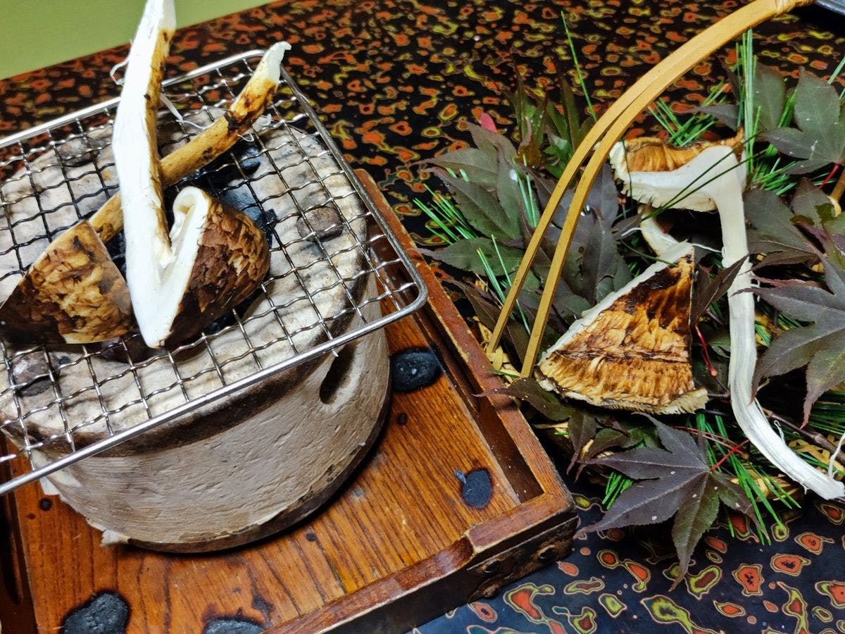 Omachi Onsen Ryokan Kanoya