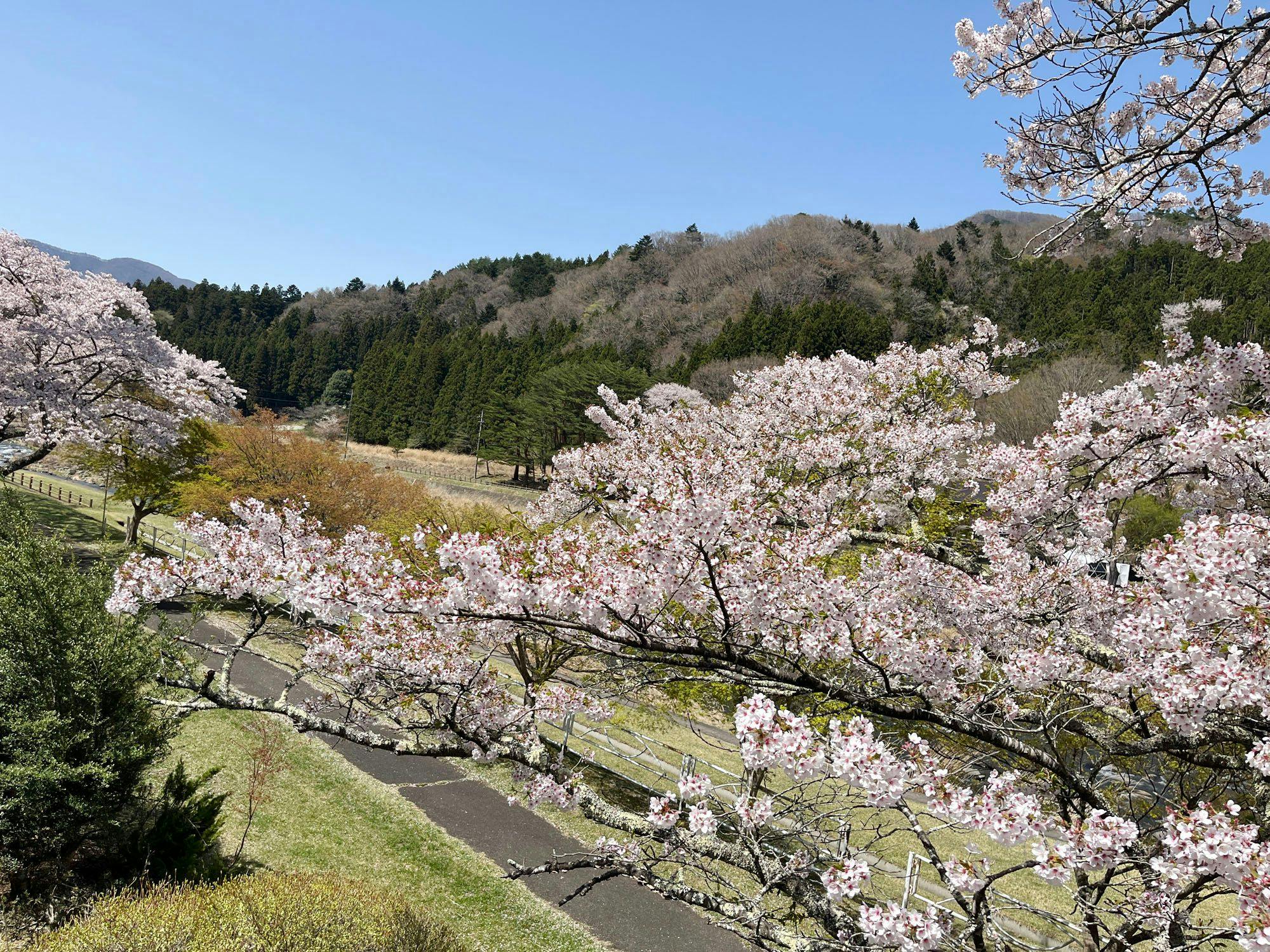 Itoen Hotel Shiobara