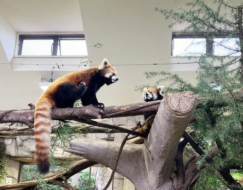 那須どうぶつ王国