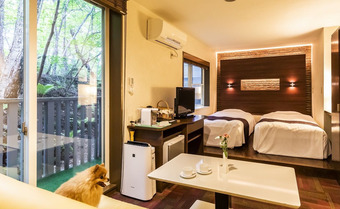 軽井沢ホテルそよかぜ 全5品リーズナブルプラン 軽井沢の高原野菜をふんだんに 愛犬と一緒に旅をしよう Sl プラン デラックス ツイン デザインが人気 ソファー付き快適な洋室 Yahoo トラベル