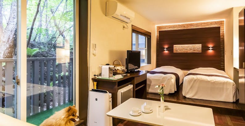 軽井沢ホテルそよかぜ 全5品リーズナブルプラン 軽井沢の高原野菜をふんだんに 愛犬と一緒に旅をしよう Sl プラン デラックス ツイン デザインが人気 ソファー付き快適な洋室 Yahoo トラベル 軽井沢ホテルそよかぜ 全5品リーズナブルプラン 軽井沢の高原野菜をふんだんに 愛犬と一緒に旅をしよう Sl プラン デラックス ツイン デザインが人気 ソファー付き快適な洋室 Yahoo トラベル