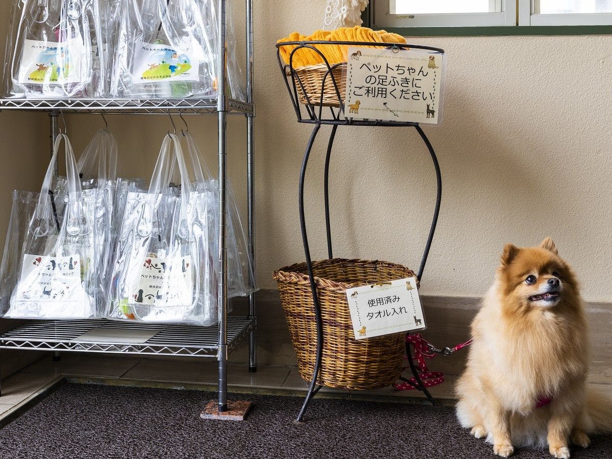 강아지 발 닦기와 산책 세트도 준비되어 있습니다.