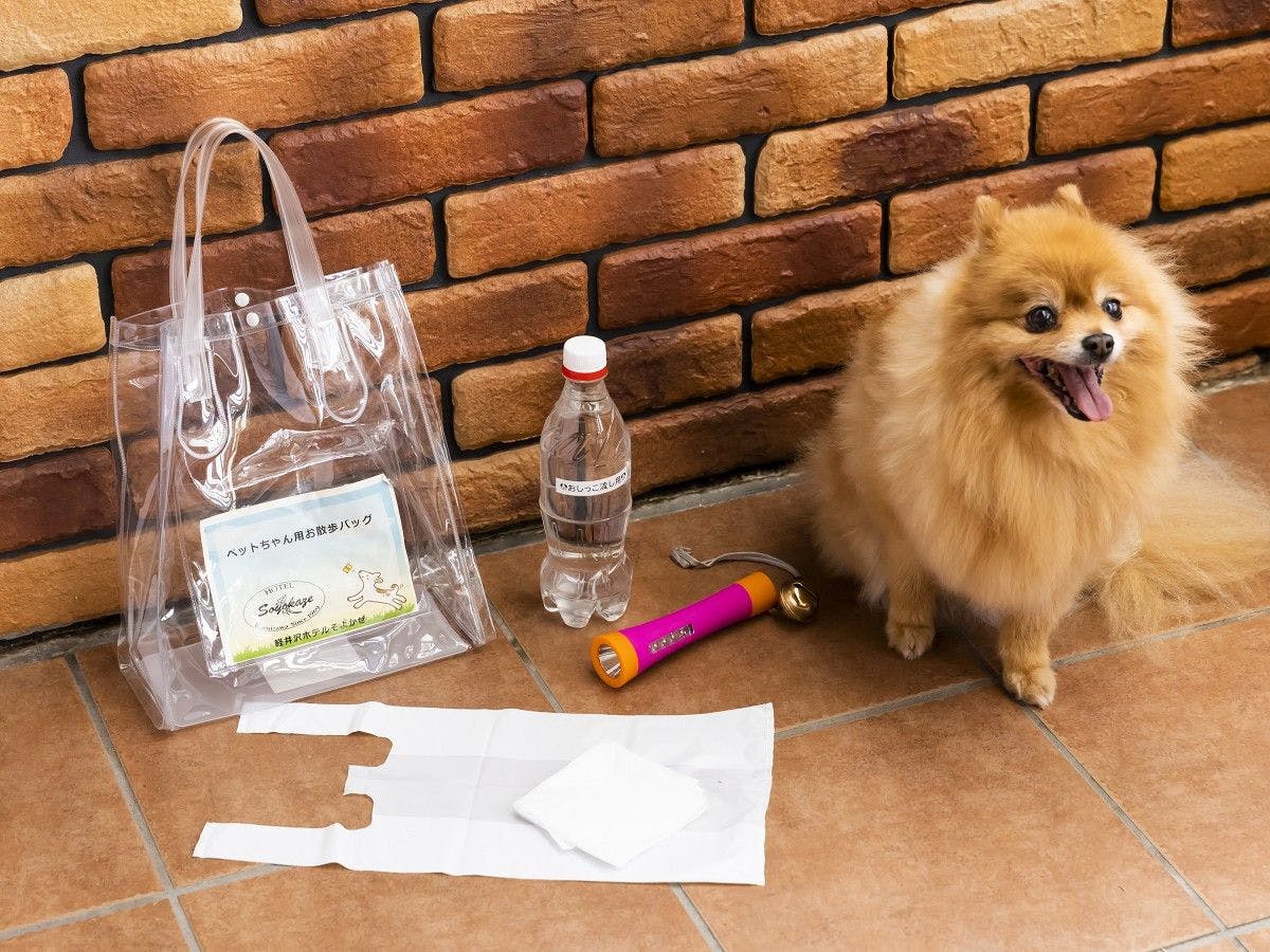 강아지 산책에 이용해 주세요.