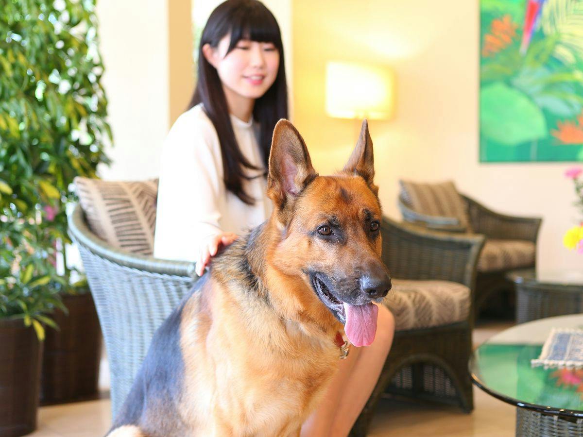 Karuizawa Hotel Soyokaze