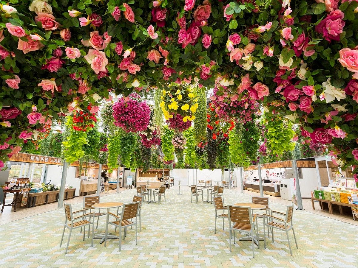 【미시마 스카이워크】