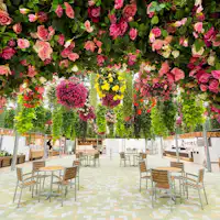 【미시마 스카이워크】