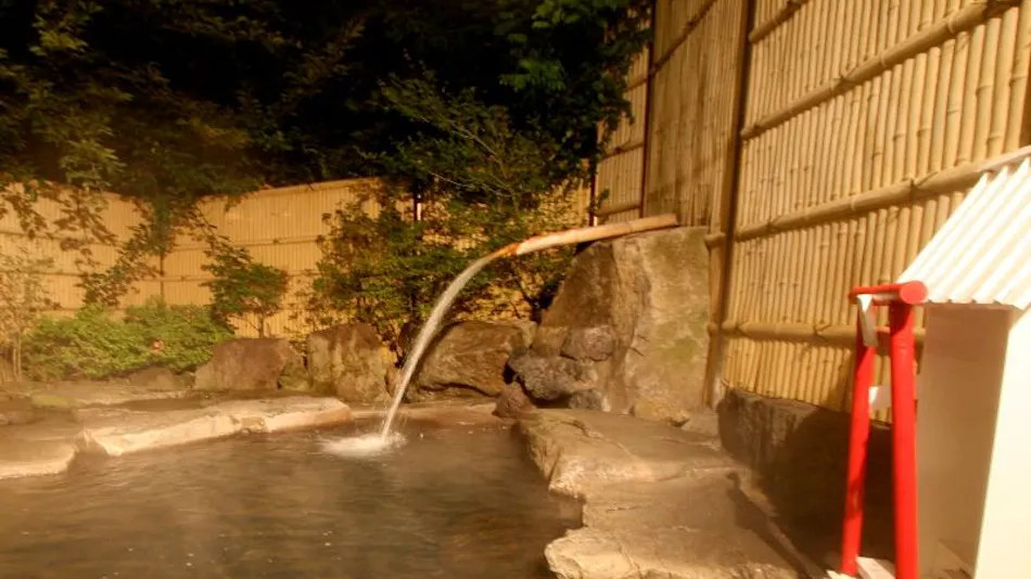 Shinshu Nakaoyama Onsen Shosenkaku