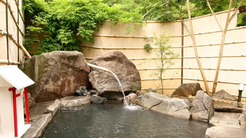 Shinshu Nakaoyama Onsen Shosenkaku