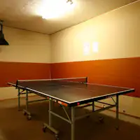 ปิงปอง
