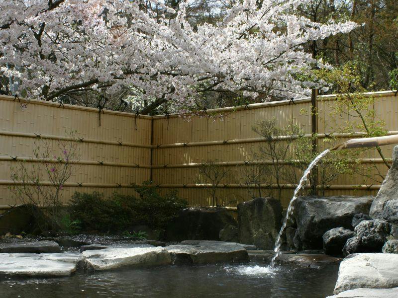 Shinshu Nakaoyama Onsen Shosenkaku