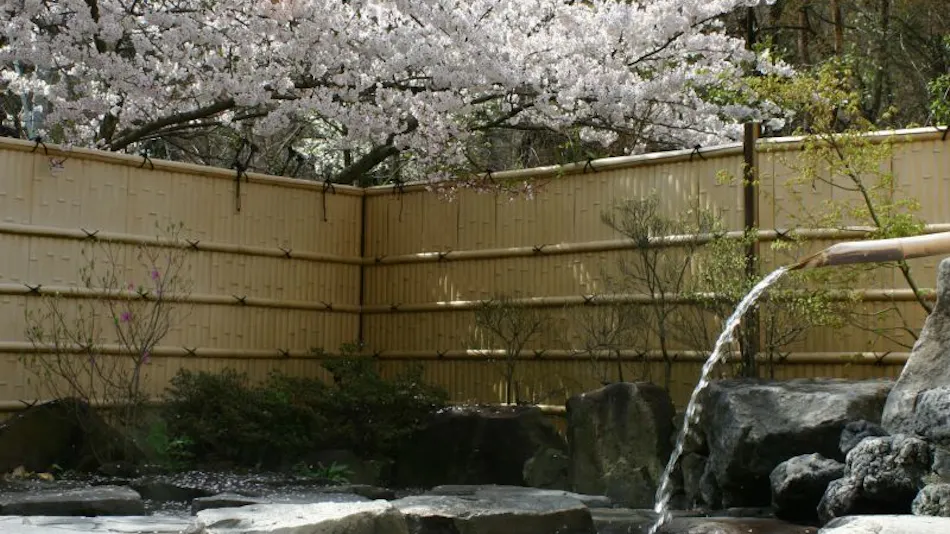 Shinshu Nakaoyama Onsen Shosenkaku