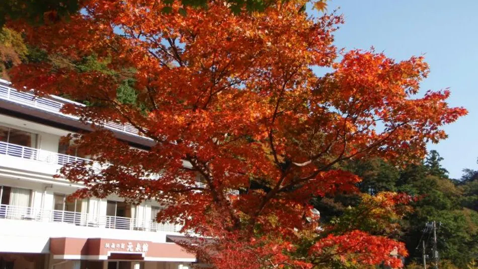 Gensenkan