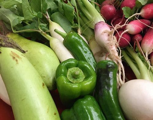 えひめ旬のやさい