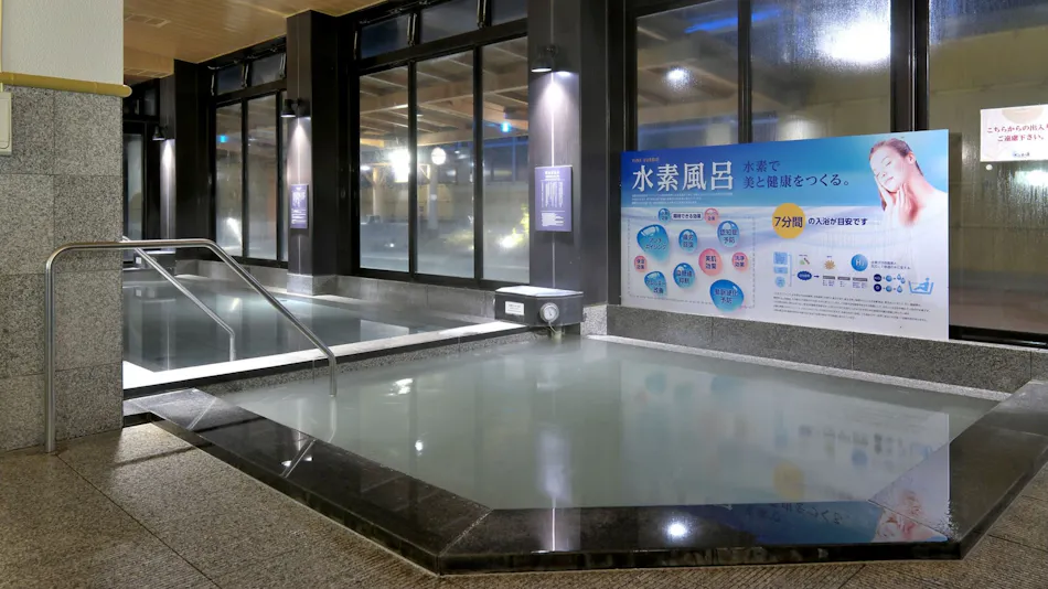Tokyo Yugawara Onsen Manyo-no-Yu