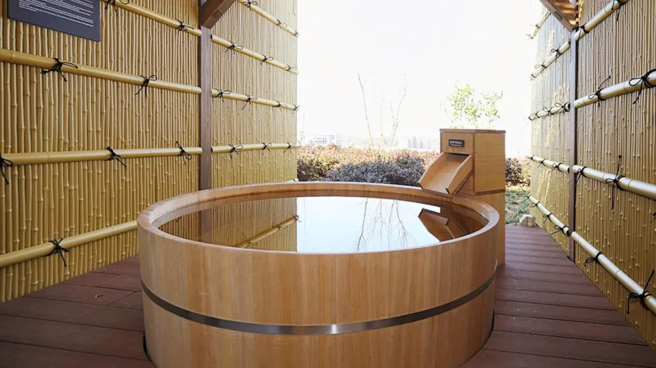 Tokyo Yugawara Onsen Manyo-no-Yu