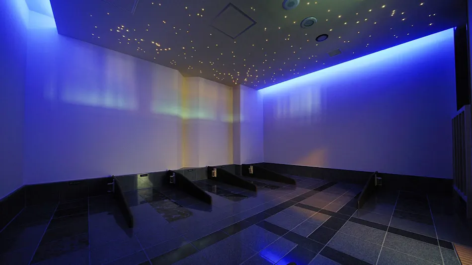 Tokyo Yugawara Onsen Manyo-no-Yu