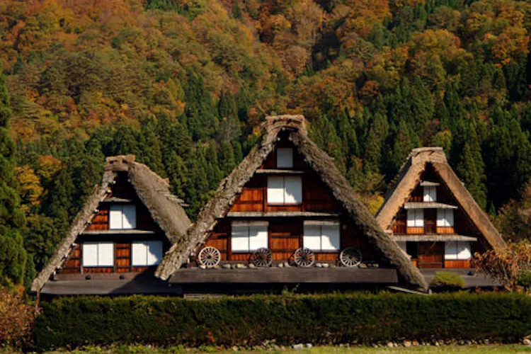 Klx4kegmqnerim Klx4kegmqnerim