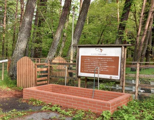 ドッグラン入口