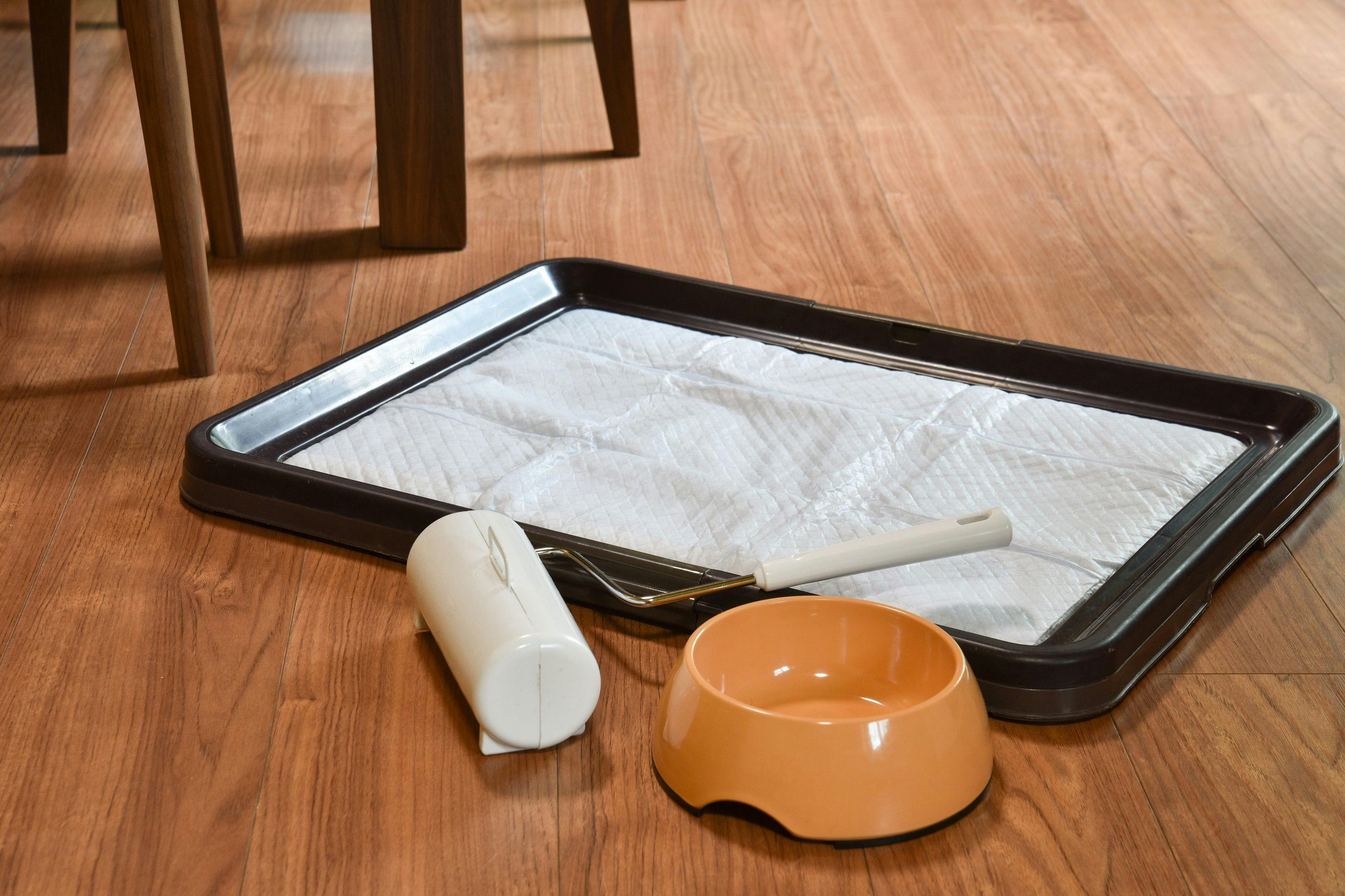 อุปกรณ์สำหรับสุนัข