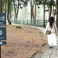 สนามวิ่งสุนัข (ป้าย)