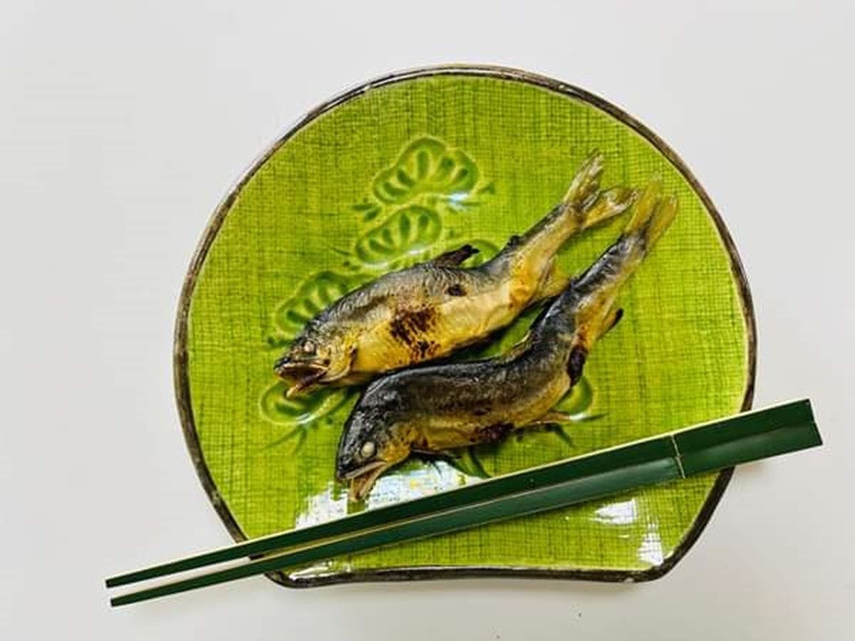 Ikoma Inn Shiroyama Ryokan