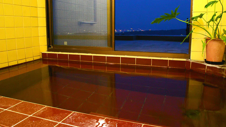 Ikoma Inn Shiroyama Ryokan