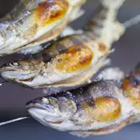 Apabila bercakap tentang Penginapan di sepanjang aliran sungai jernih, ia adalah ikan sungai panggang garam.