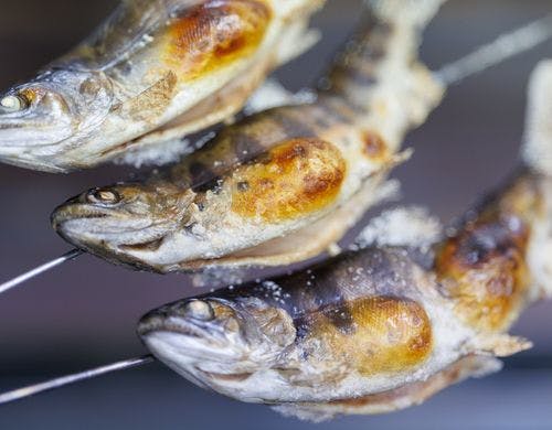 清流沿いの宿といえば川魚の塩焼き