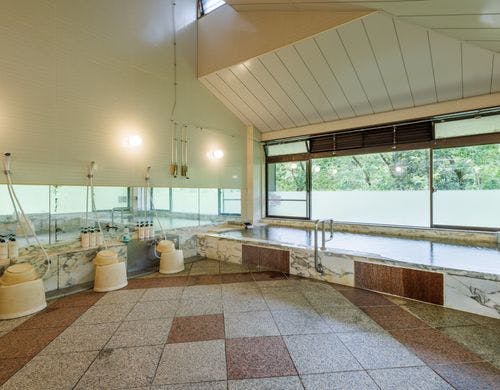 温泉浴場全体を望む