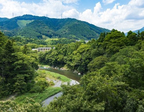 緑に囲まれたおくたま路