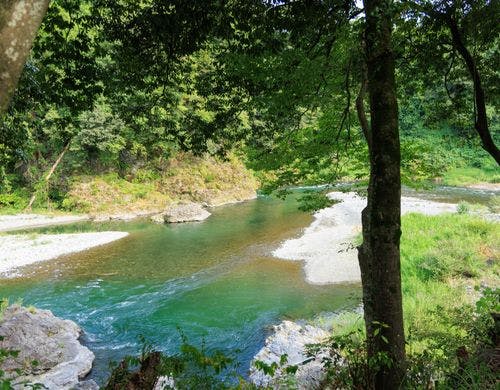 散策路より多摩川を臨む