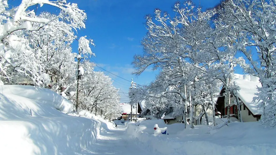 Madarao Elm Pension