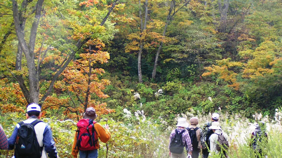 Madarao Elm Pension