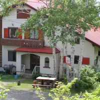 Tampilan Musim Hijau