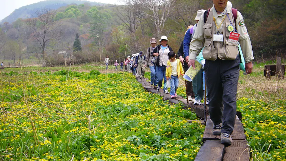 Madarao Elm Pension