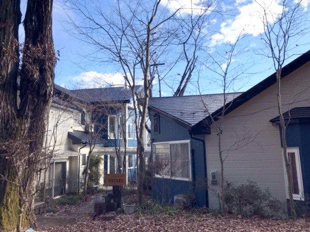 Berdiri tenang di tengah hutan Azumino