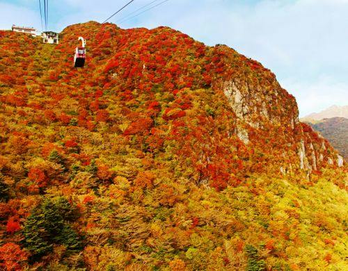 雲仙の紅葉　ロープウェイと一緒に♪