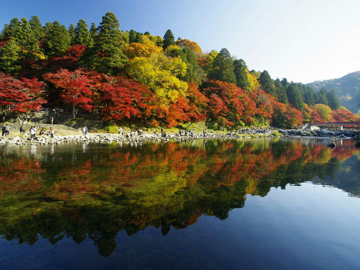 Hotel Tokaien